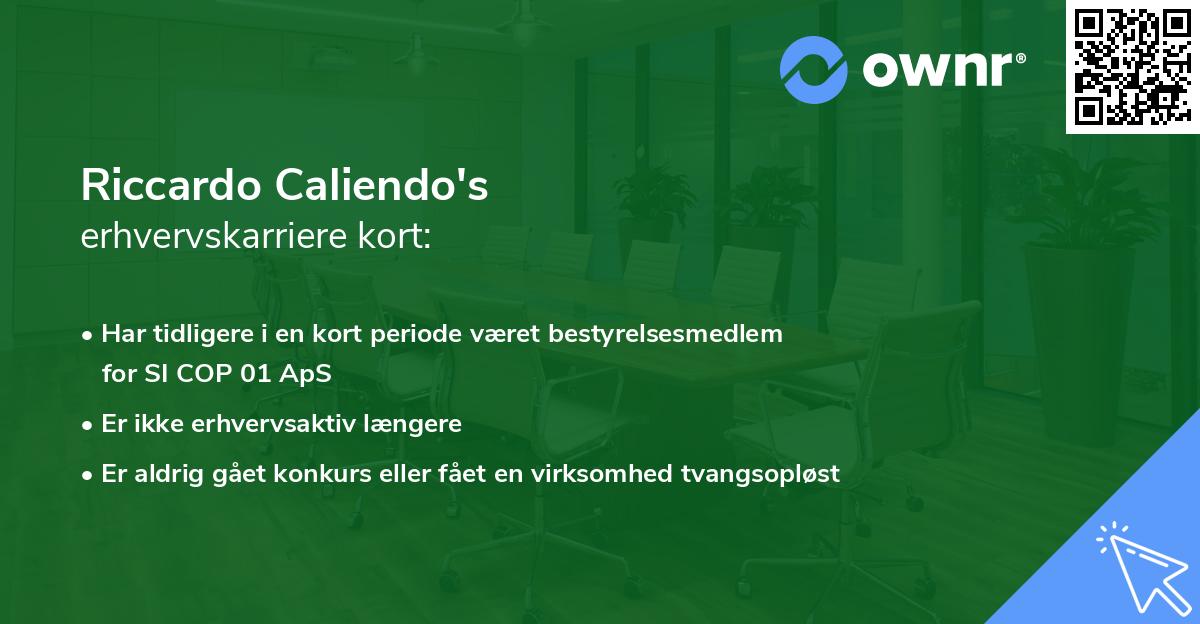 Riccardo Caliendo's erhvervskarriere kort