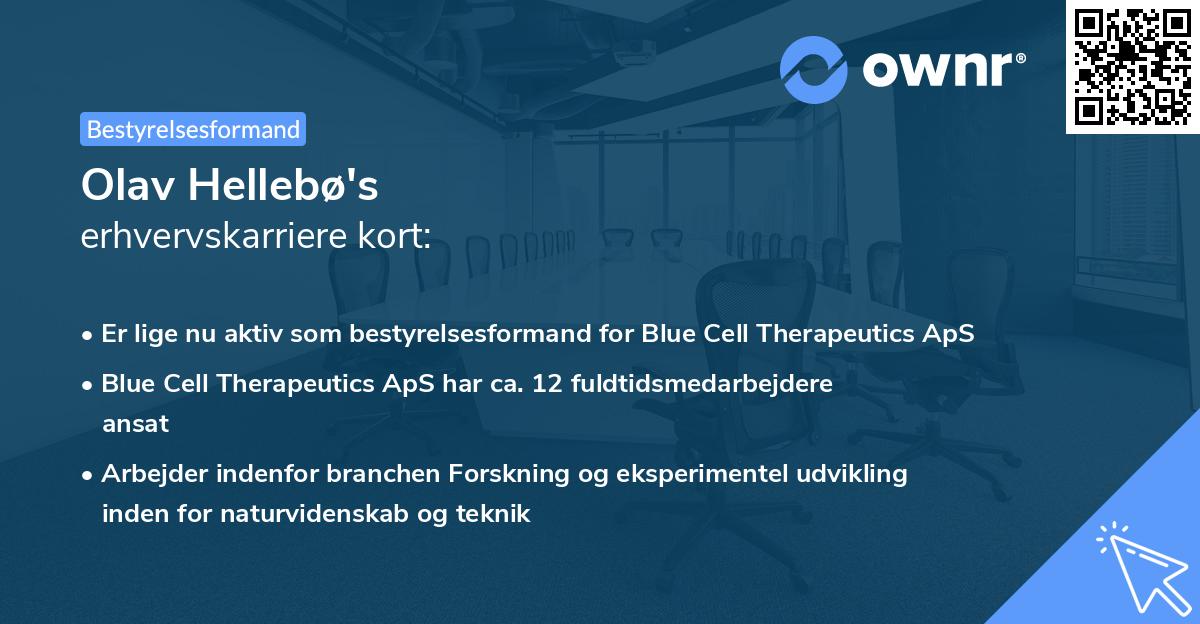 Olav Hellebø's erhvervskarriere kort