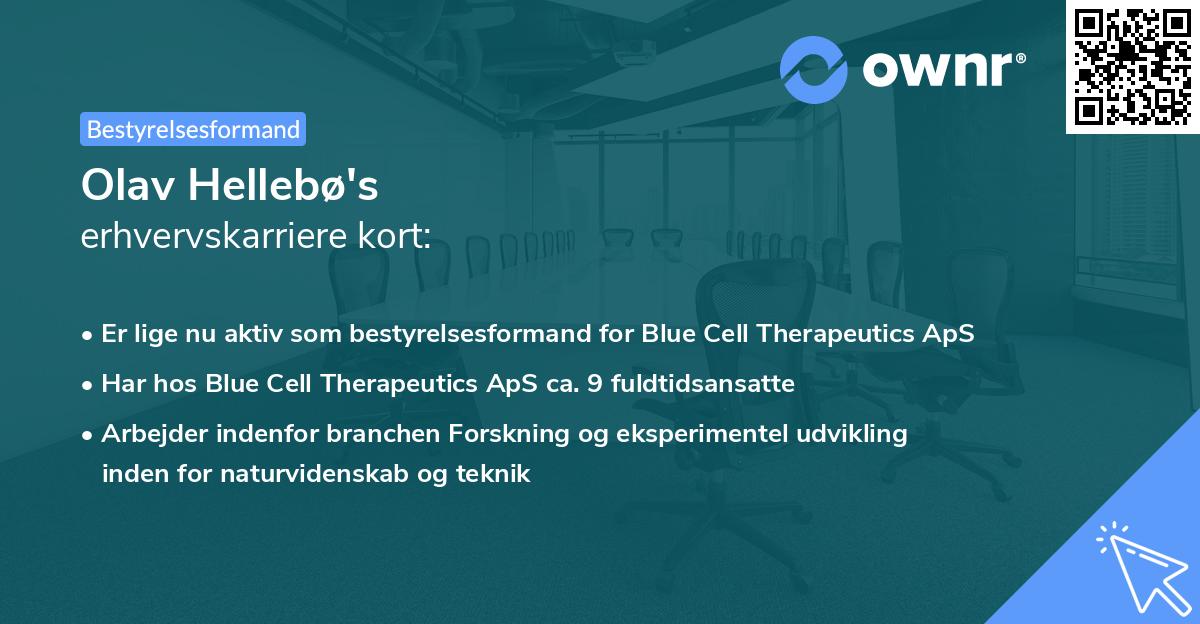 Olav Hellebø's erhvervskarriere kort