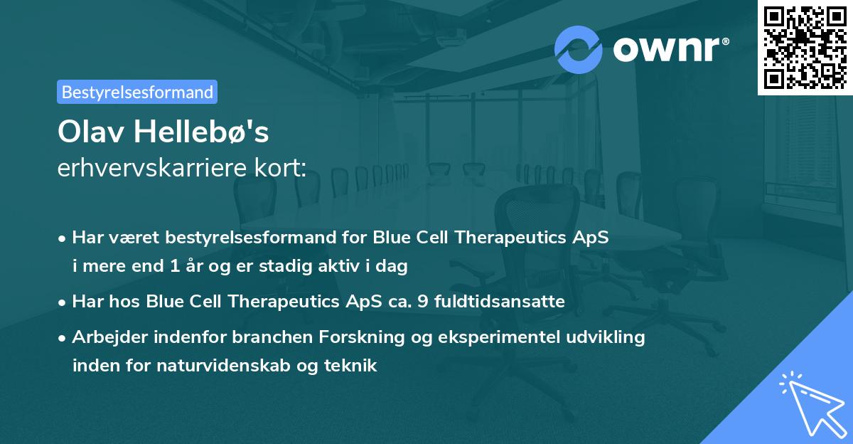 Olav Hellebø's erhvervskarriere kort