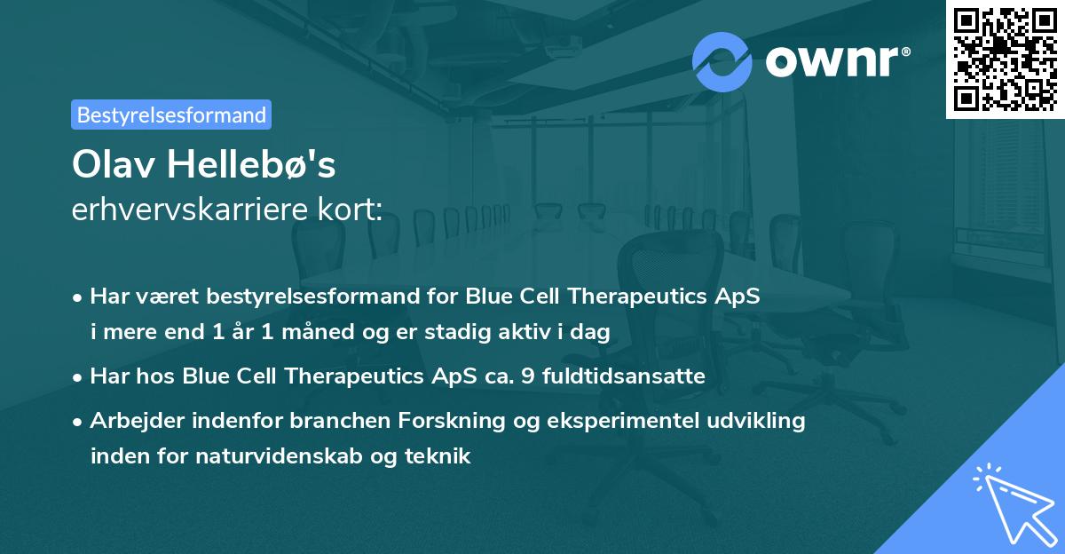 Olav Hellebø's erhvervskarriere kort