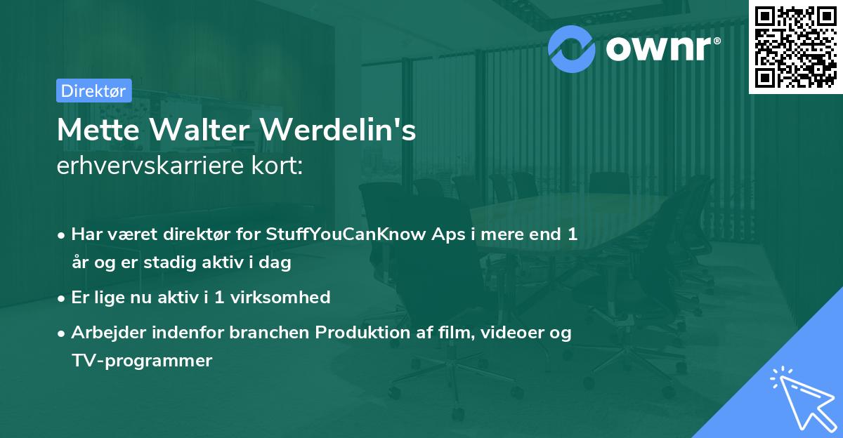 Mette Walter Werdelin's erhvervskarriere kort