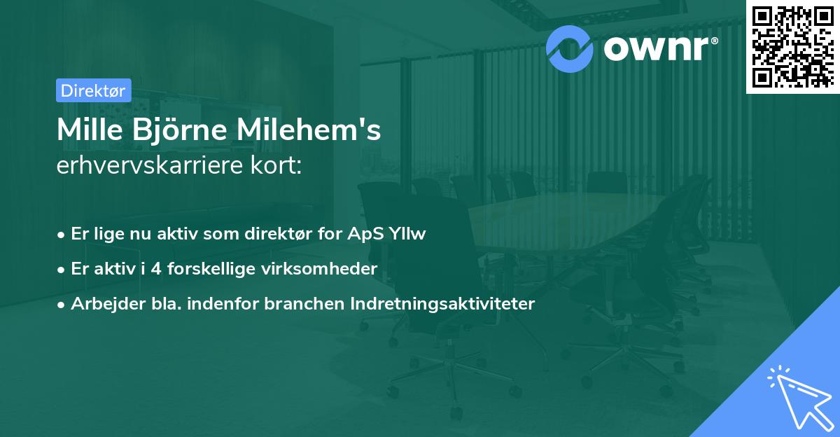 Mille Björne Milehem's erhvervskarriere kort