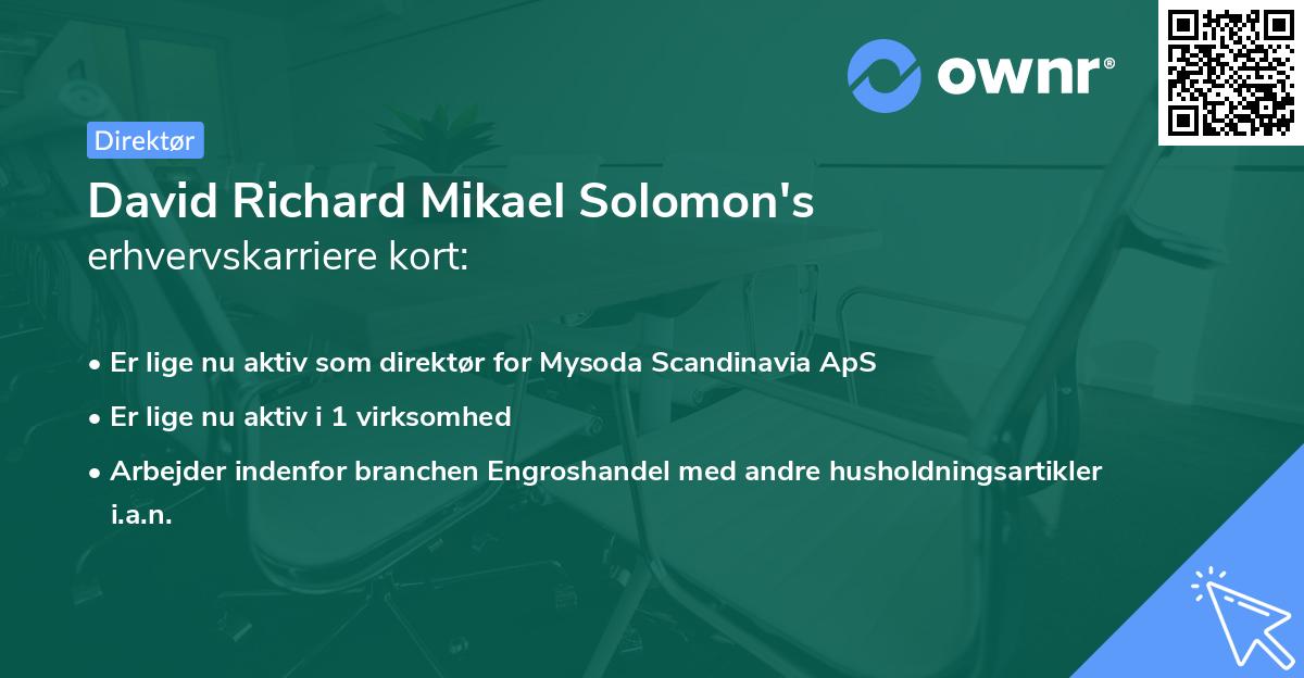 David Richard Mikael Solomon's erhvervskarriere kort