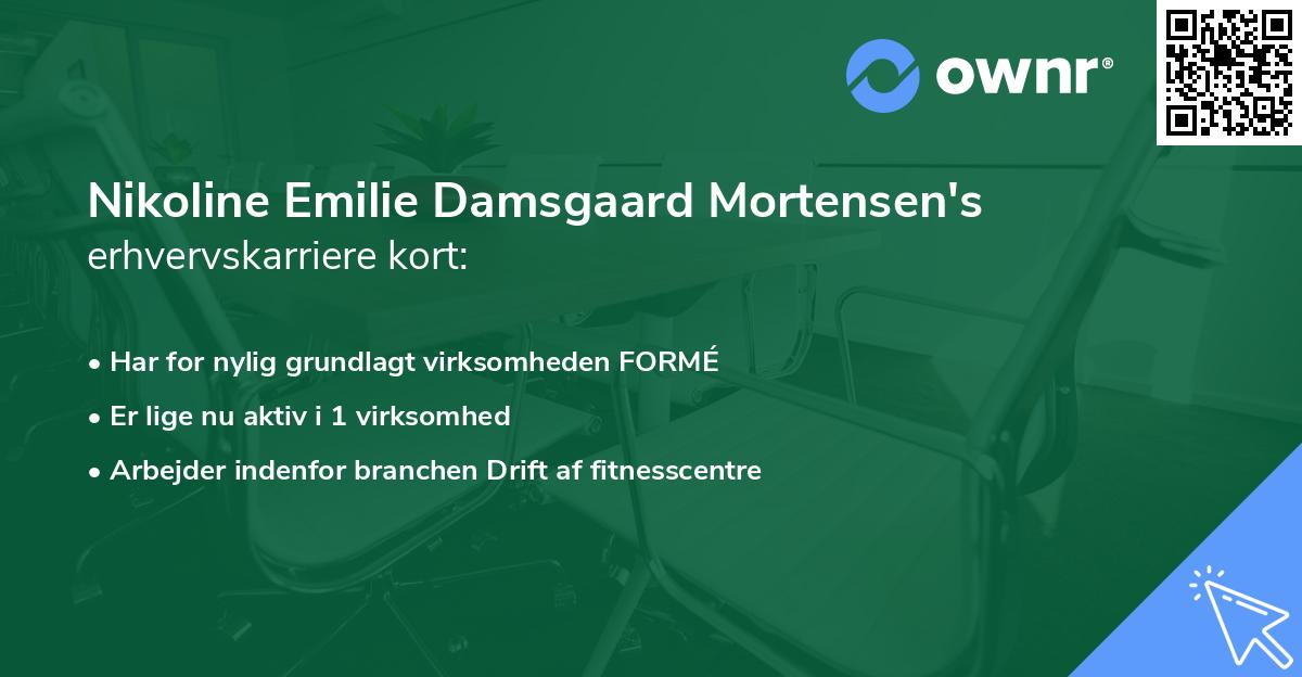 Nikoline Emilie Damsgaard Mortensen's erhvervskarriere kort