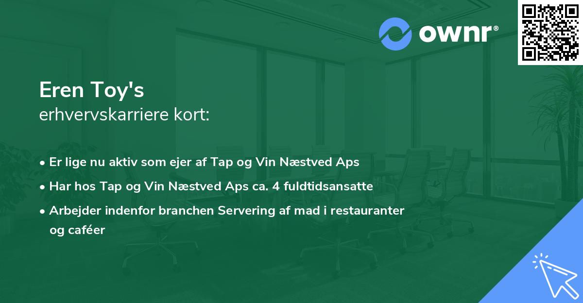 Eren Toy's erhvervskarriere kort