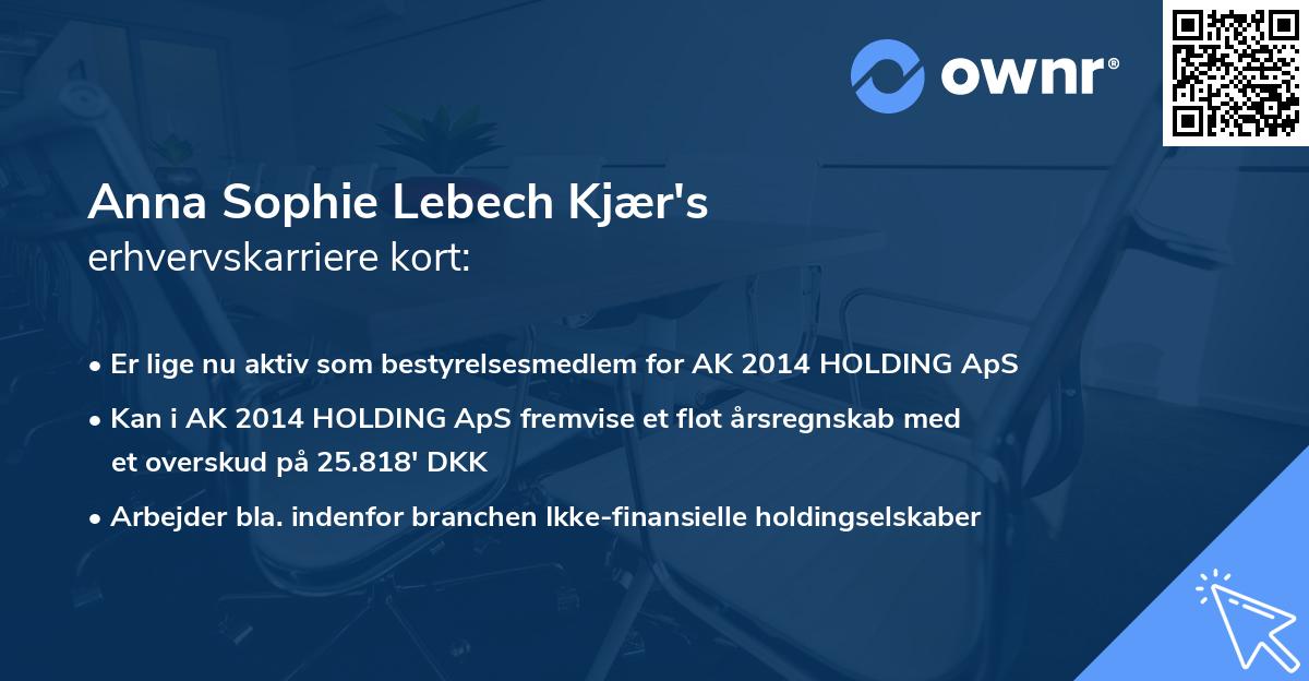 Anna Sophie Lebech Kjær's erhvervskarriere kort