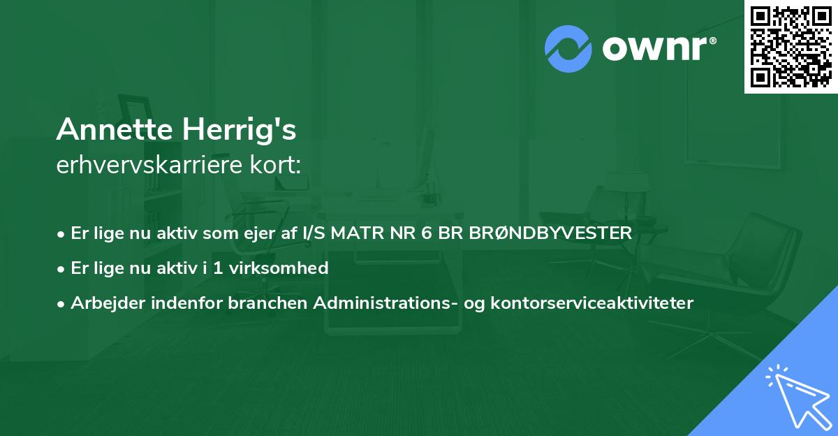 Annette Herrig's erhvervskarriere kort