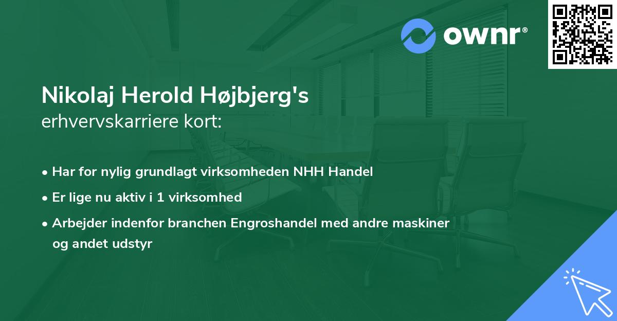 Nikolaj Herold Højbjerg's erhvervskarriere kort