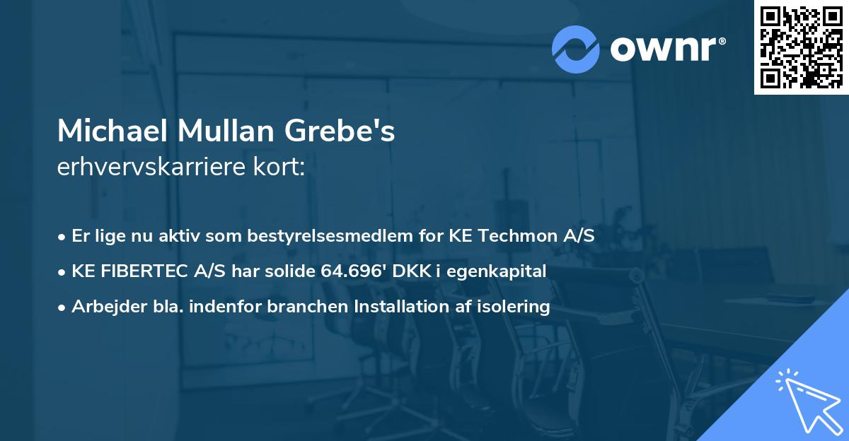 Michael Mullan Grebe's erhvervskarriere kort
