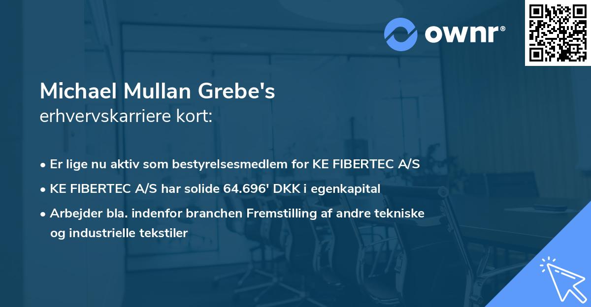 Michael Mullan Grebe's erhvervskarriere kort