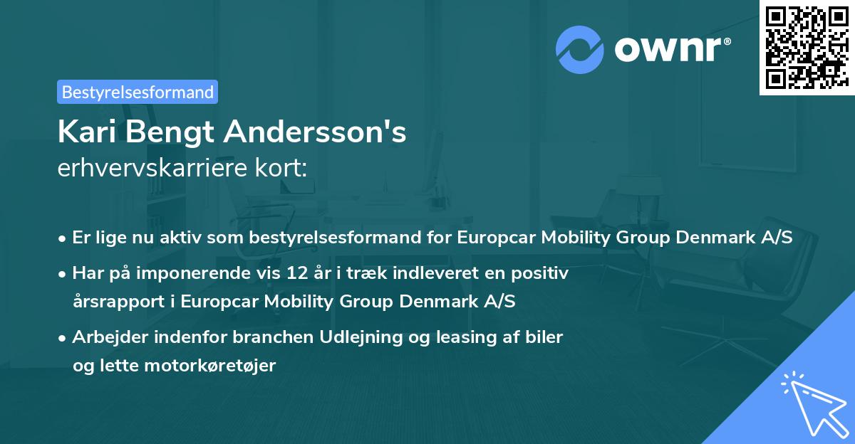 Kari Bengt Andersson's erhvervskarriere kort