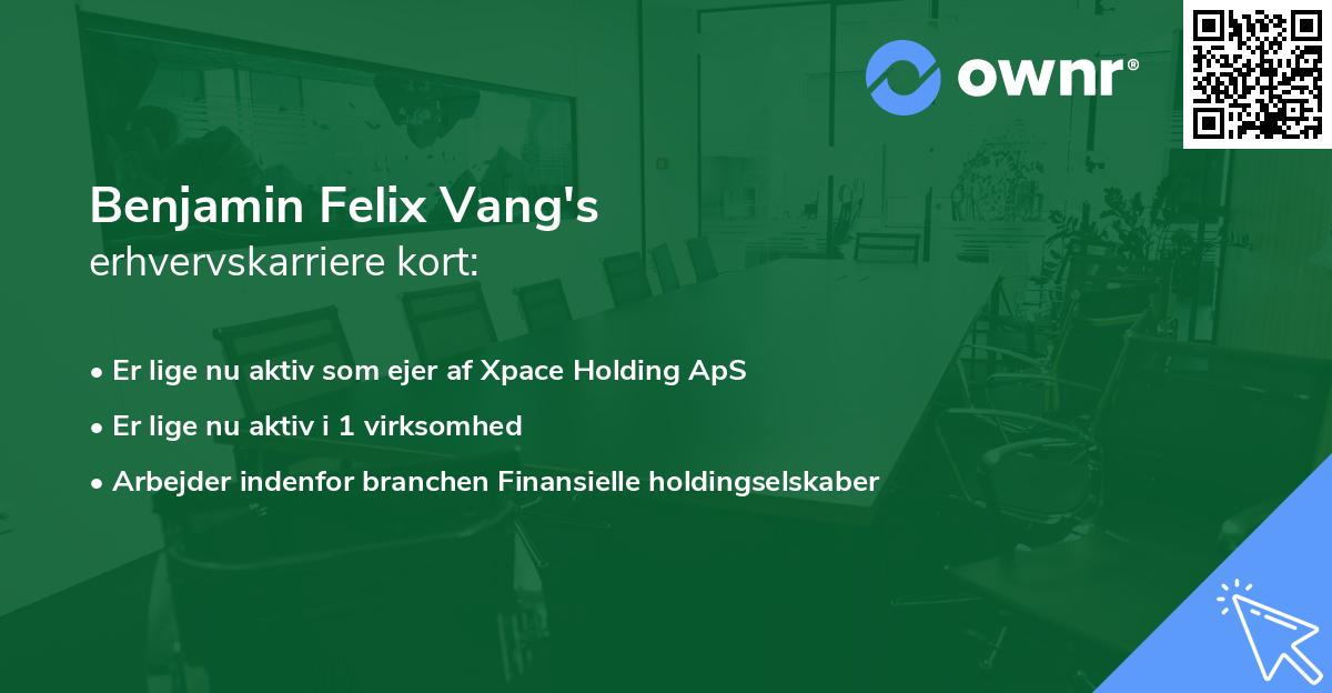 Benjamin Felix Vang's erhvervskarriere kort