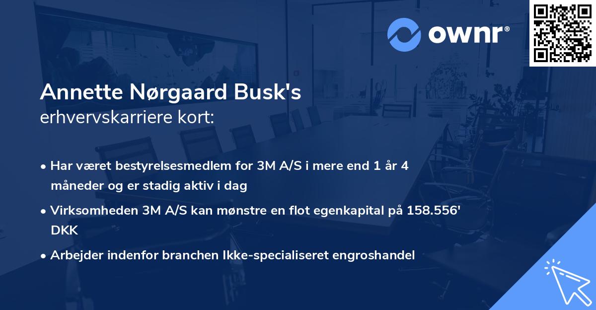 Annette Nørgaard Busk's erhvervskarriere kort