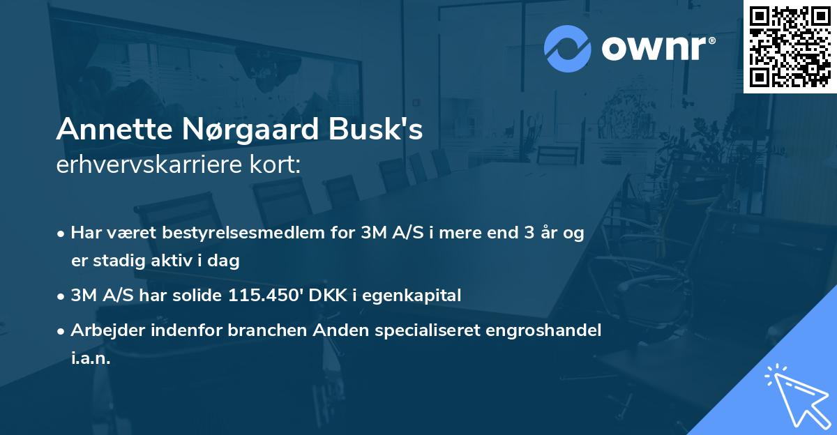 Annette Nørgaard Busk's erhvervskarriere kort