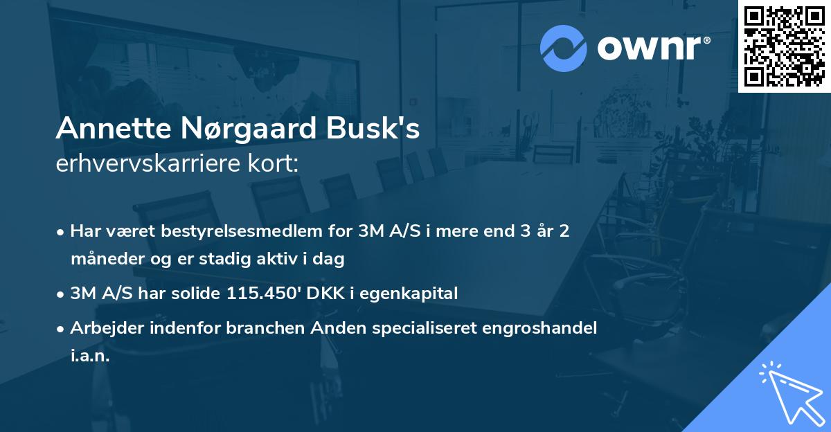 Annette Nørgaard Busk's erhvervskarriere kort
