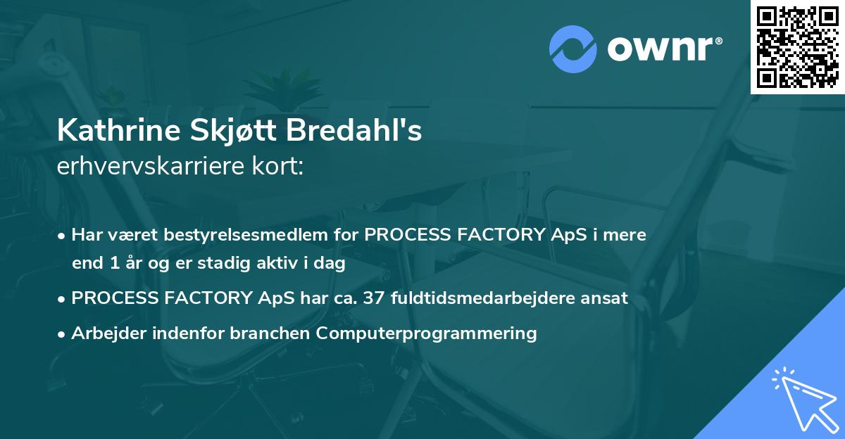 Kathrine Skjøtt Bredahl's erhvervskarriere kort
