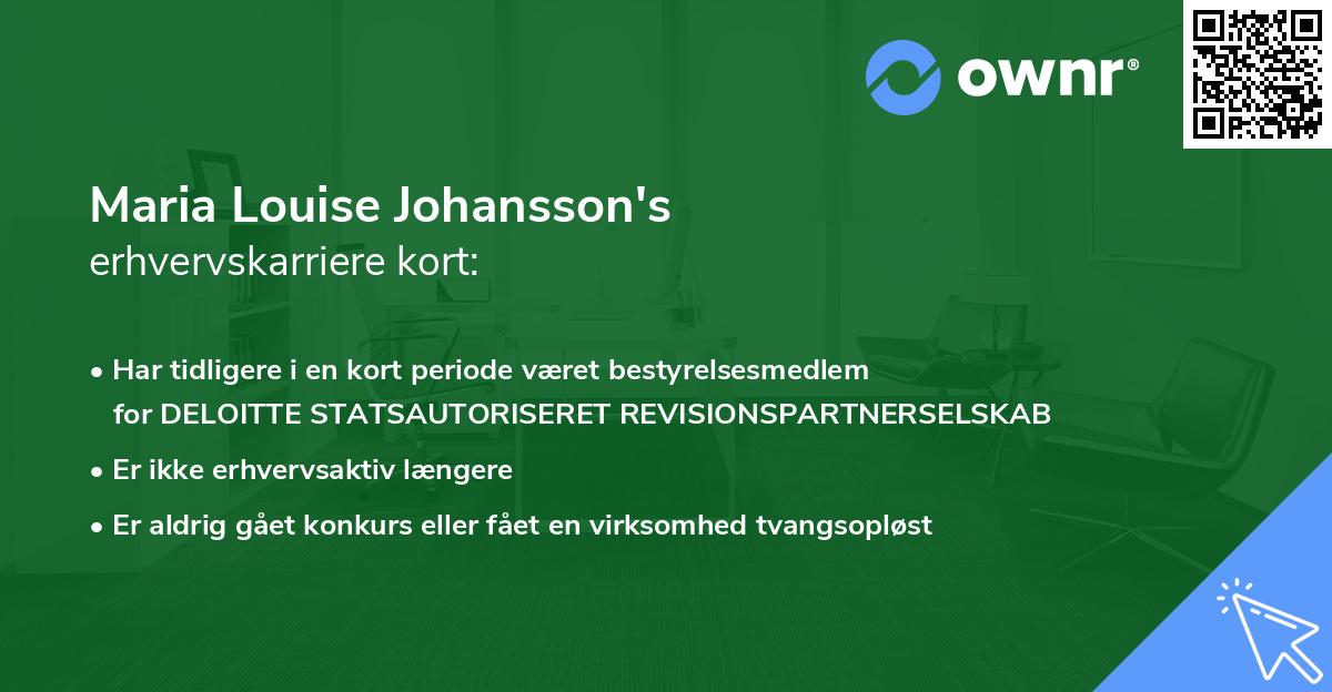 Maria Louise Johansson's erhvervskarriere kort