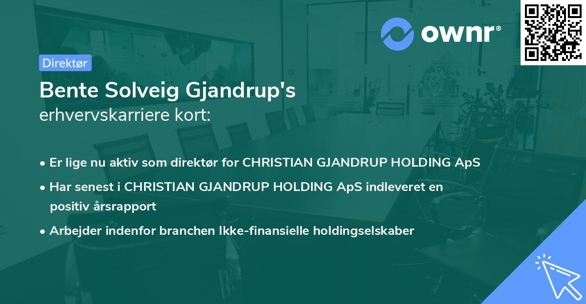 Bente Solveig Gjandrup's erhvervskarriere kort