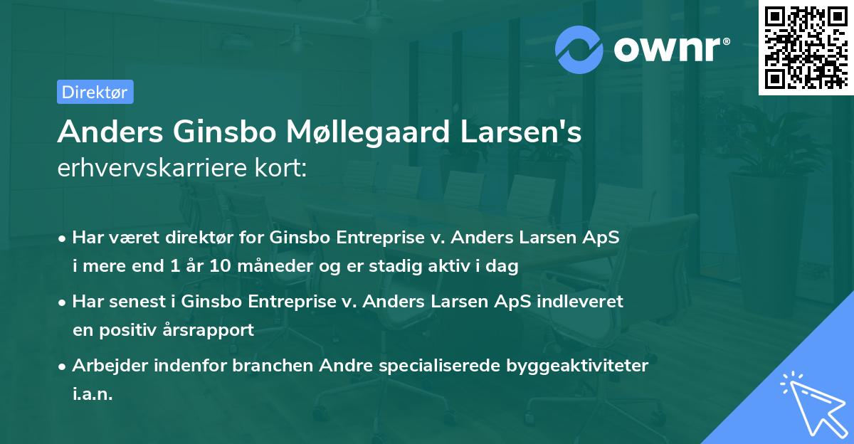 Anders Ginsbo Møllegaard Larsen's erhvervskarriere kort