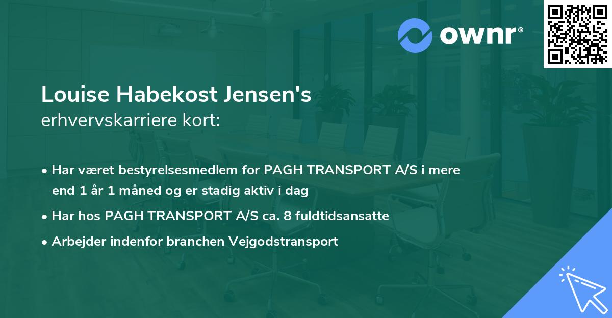 Louise Habekost Jensen's erhvervskarriere kort
