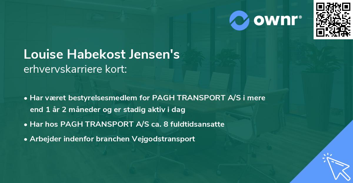 Louise Habekost Jensen's erhvervskarriere kort