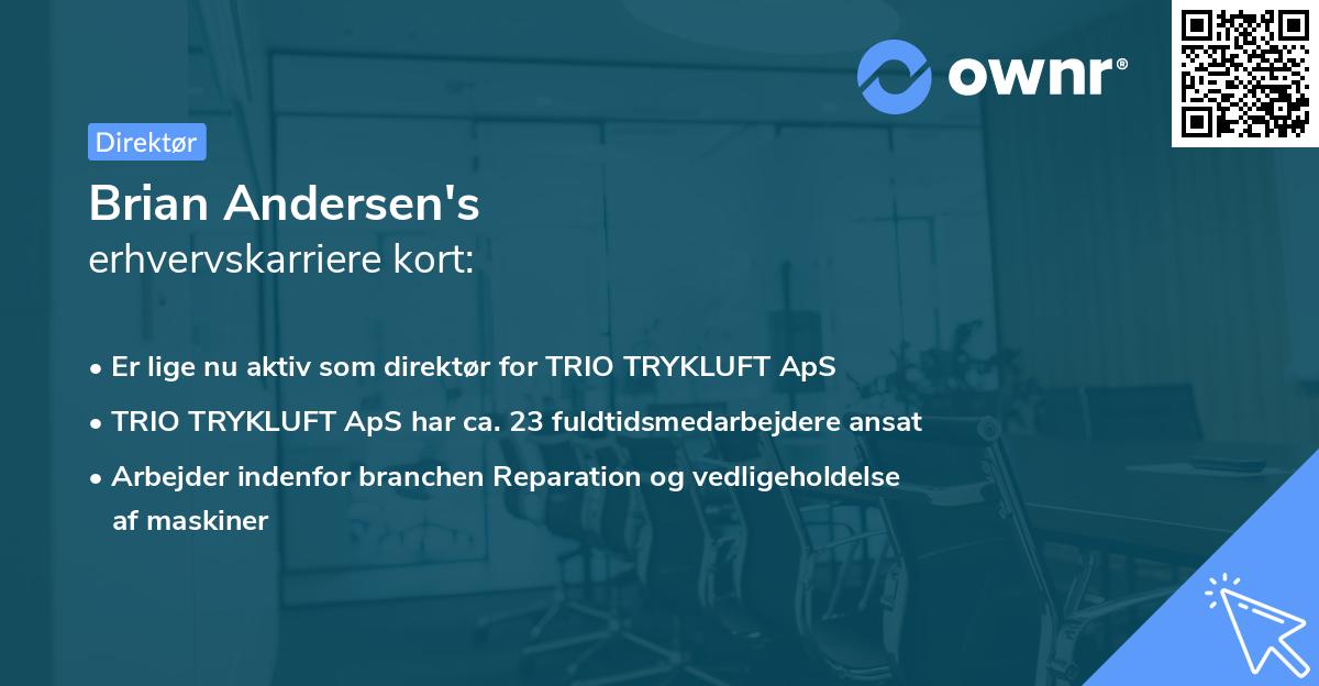 Brian Andersen's erhvervskarriere kort