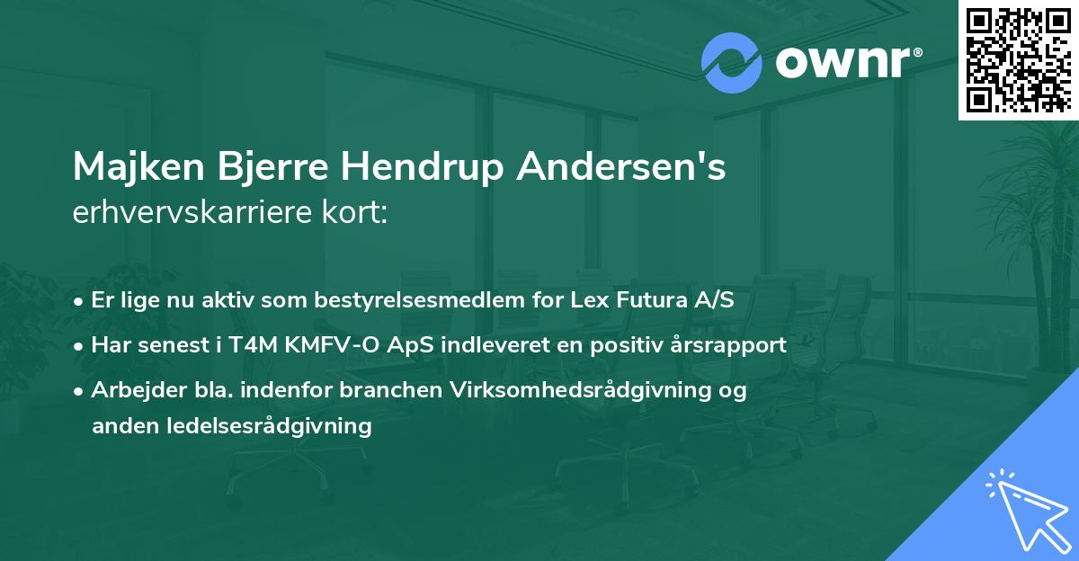 Majken Bjerre Hendrup Andersen's erhvervskarriere kort