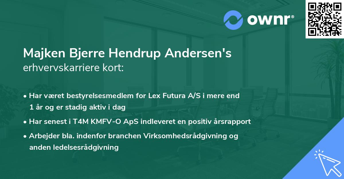 Majken Bjerre Hendrup Andersen's erhvervskarriere kort