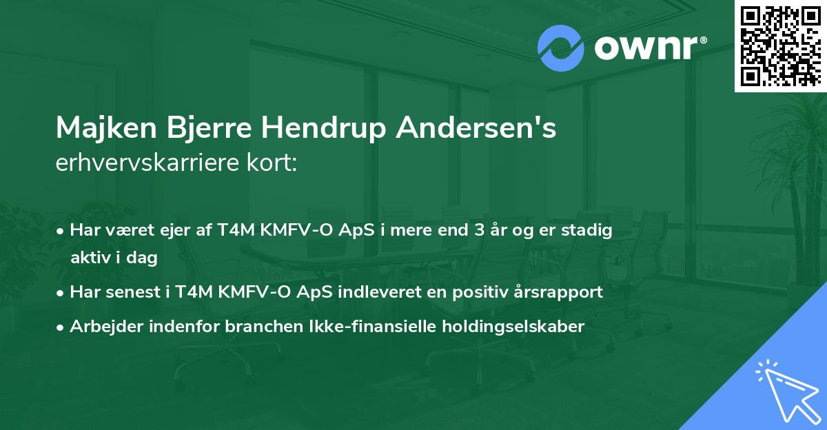 Majken Bjerre Hendrup Andersen's erhvervskarriere kort