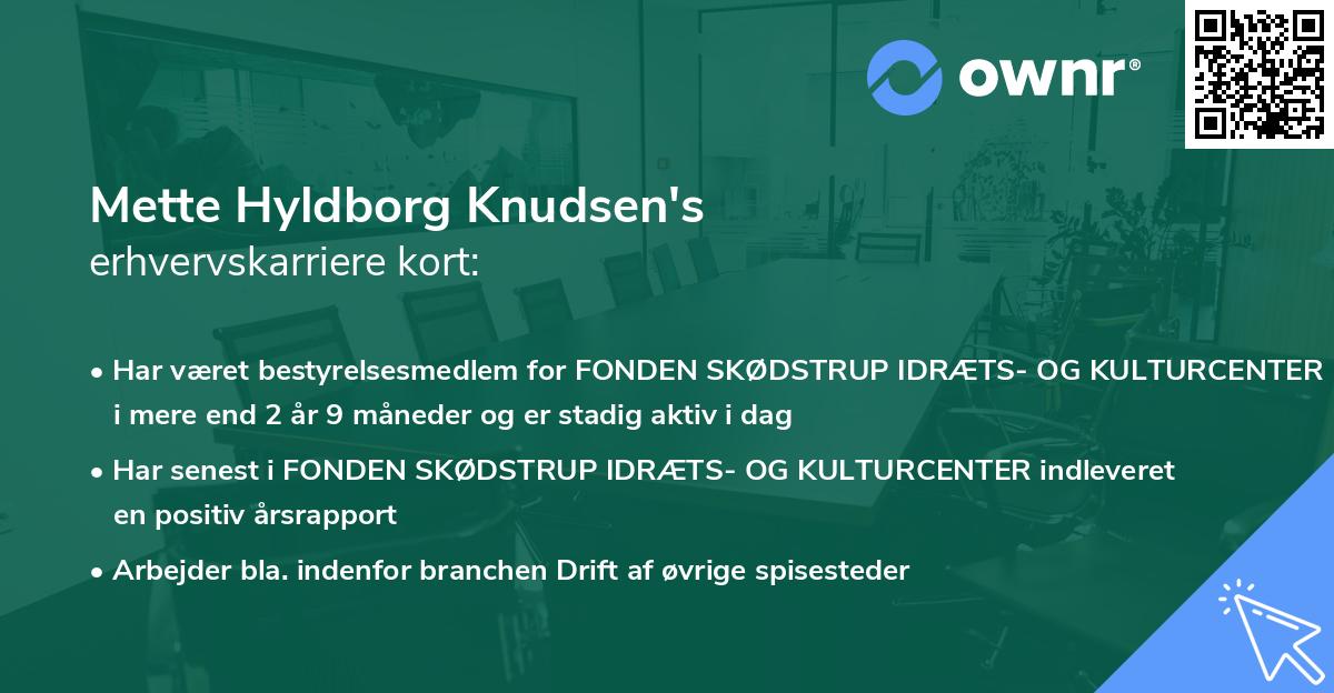 Mette Hyldborg Knudsen's erhvervskarriere kort