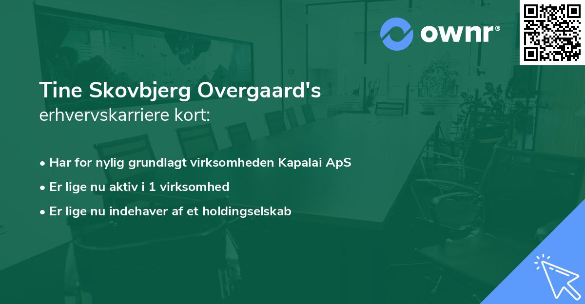 Tine Skovbjerg Overgaard's erhvervskarriere kort