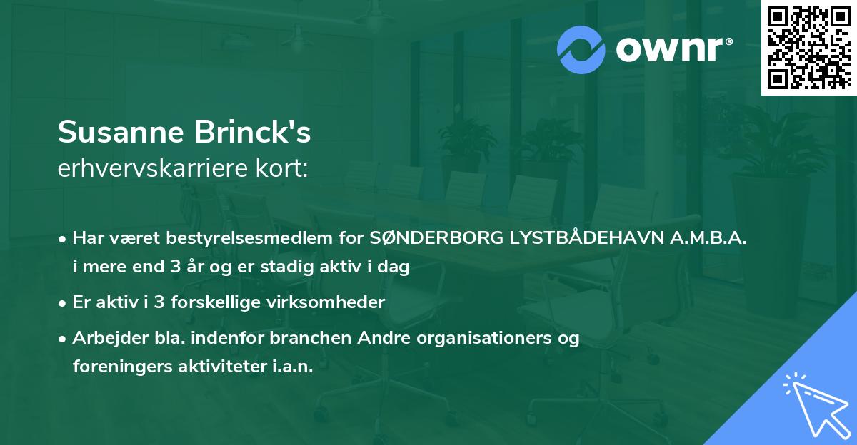 Susanne Brinck's erhvervskarriere kort