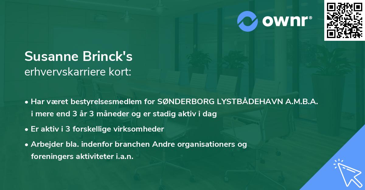 Susanne Brinck's erhvervskarriere kort