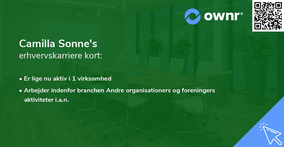 Camilla Sonne's erhvervskarriere kort