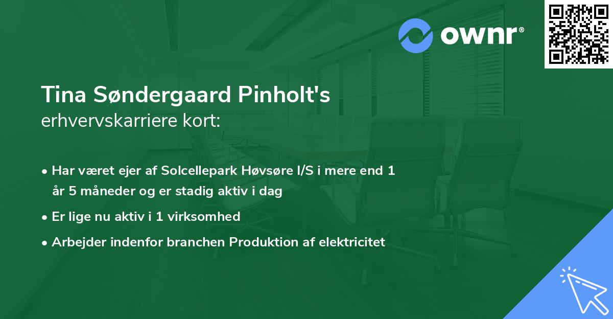 Tina Søndergaard Pinholt's erhvervskarriere kort