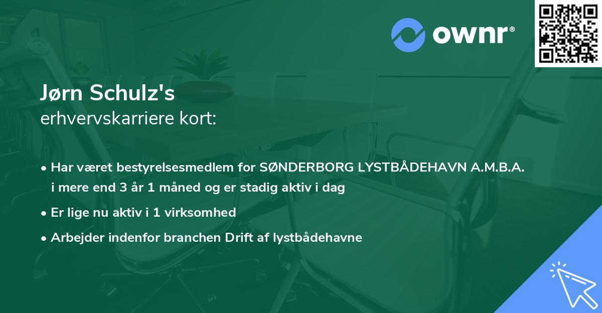 Jørn Schulz's erhvervskarriere kort