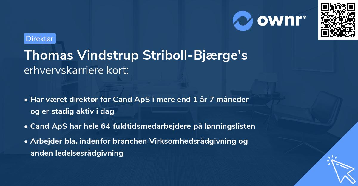 Thomas Vindstrup Striboll-Bjærge's erhvervskarriere kort