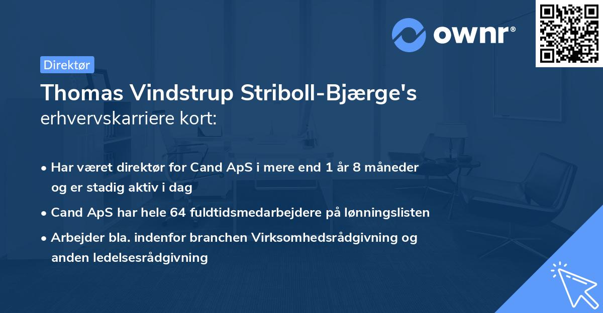 Thomas Vindstrup Striboll-Bjærge's erhvervskarriere kort