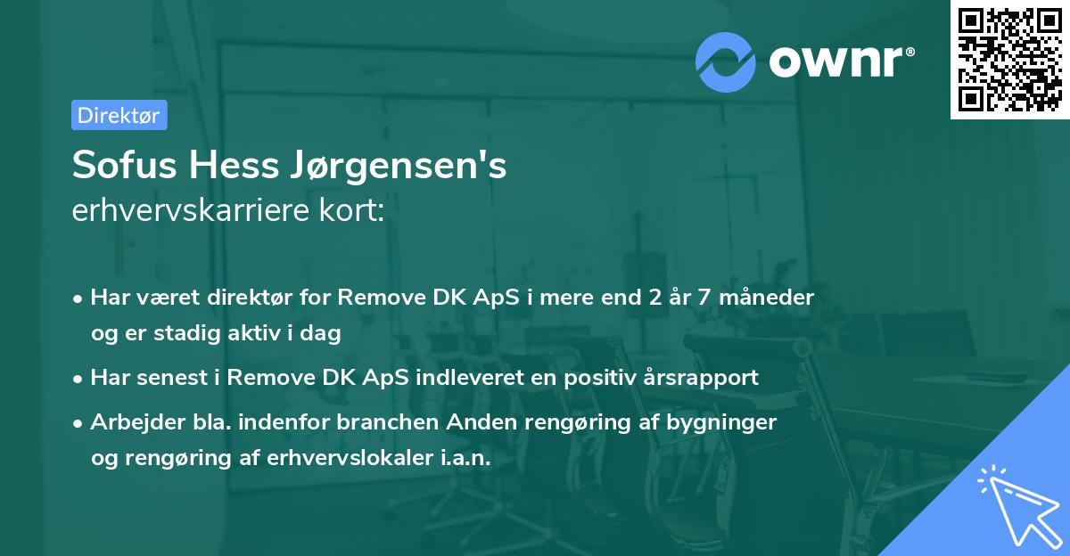 Sofus Hess Jørgensen's erhvervskarriere kort