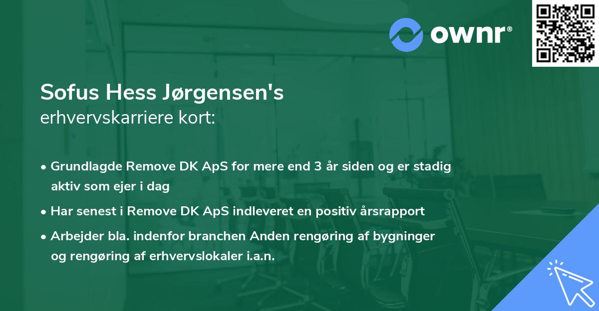 Sofus Hess Jørgensen's erhvervskarriere kort