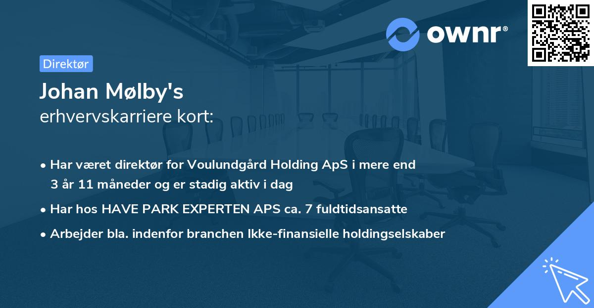 Johan Mølby's erhvervskarriere kort