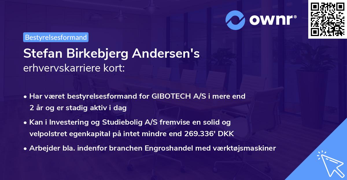 Stefan Birkebjerg Andersen's erhvervskarriere kort