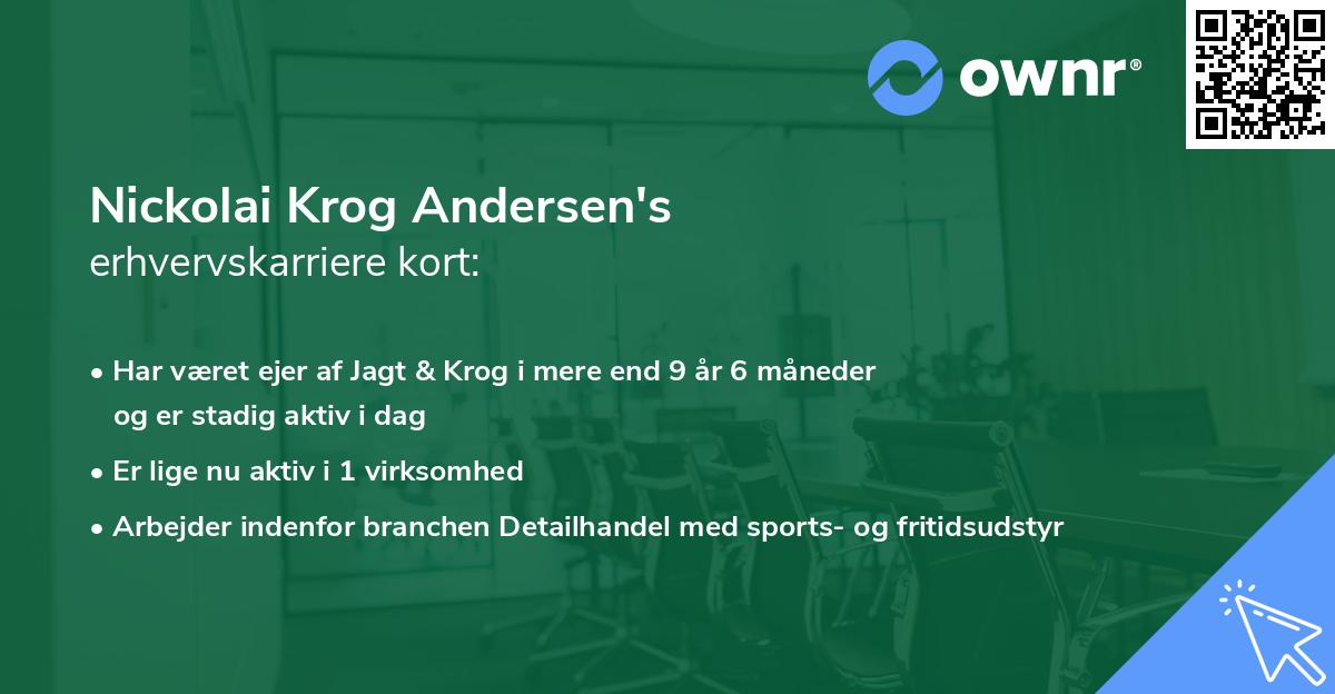 Nickolai Krog Andersen's erhvervskarriere kort