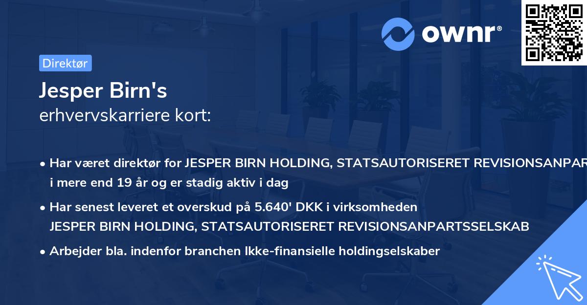 Jesper Birn's erhvervskarriere kort