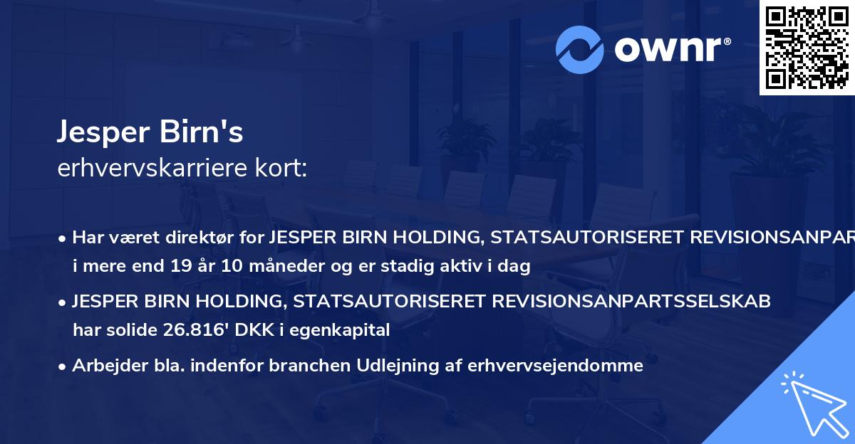 Jesper Birn's erhvervskarriere kort