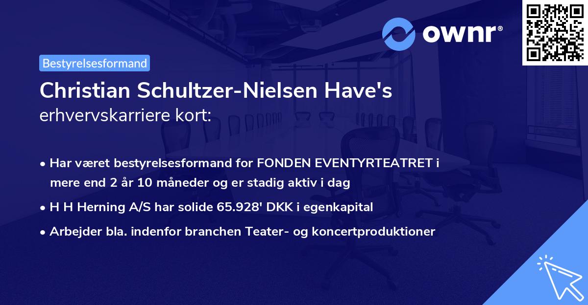 Christian Schultzer-Nielsen Have's erhvervskarriere kort