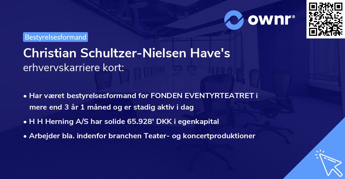 Christian Schultzer-Nielsen Have's erhvervskarriere kort