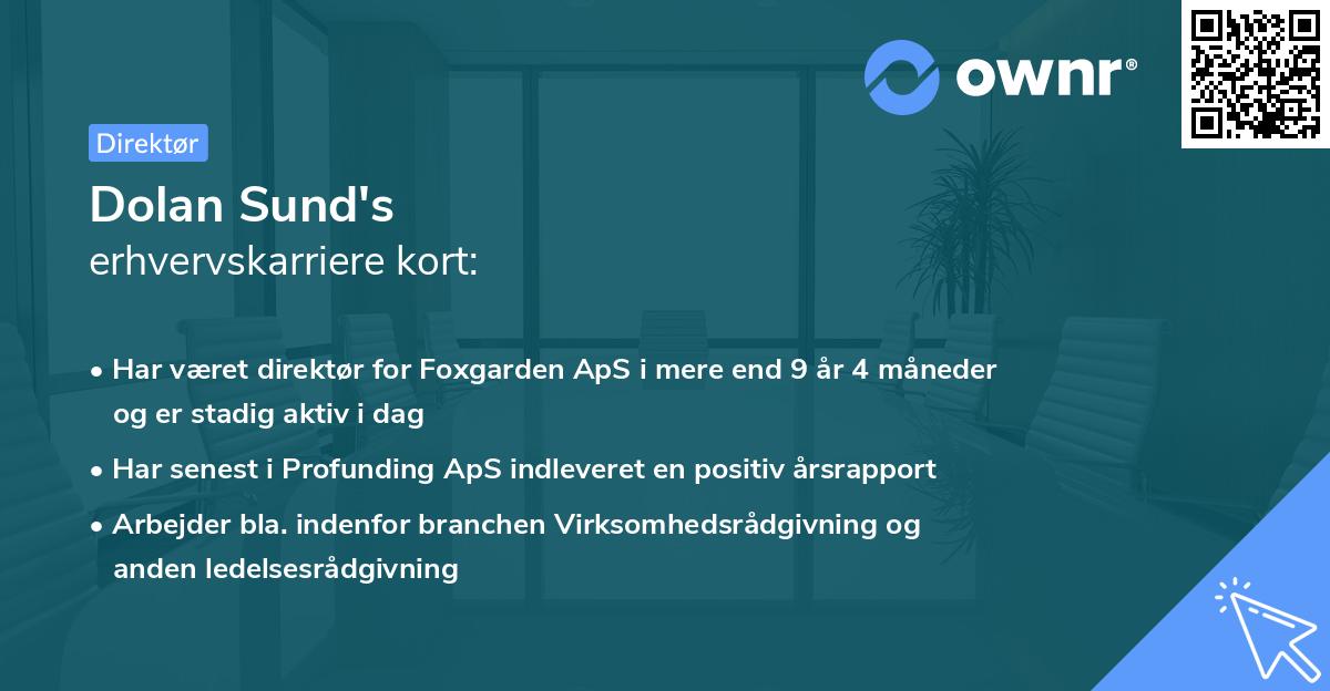 Dolan Sund's erhvervskarriere kort