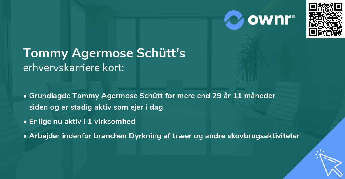 Tommy Agermose Schütt's erhvervskarriere kort